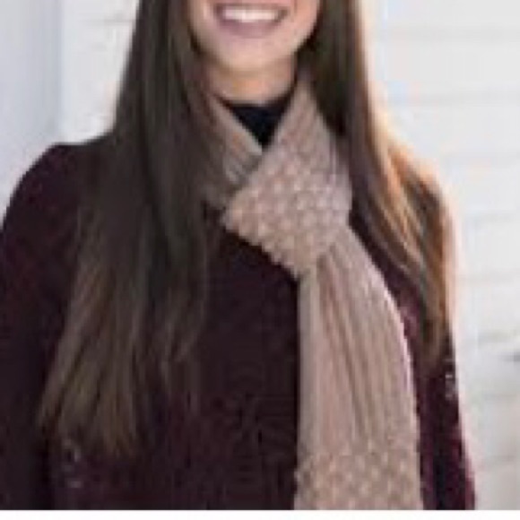 Britt’s Knits Accessories - NWT Taupe Scarf Britt’s Knits